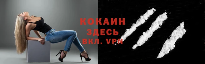 спиды Алзамай