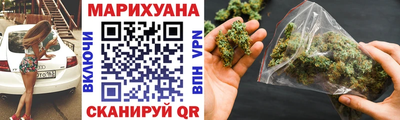 Канабис сатива  Бавлы 